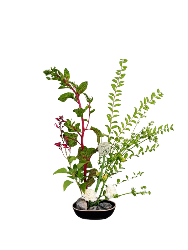 2092ad57-7bb1-4ec0-8c0b-c708bea5367e