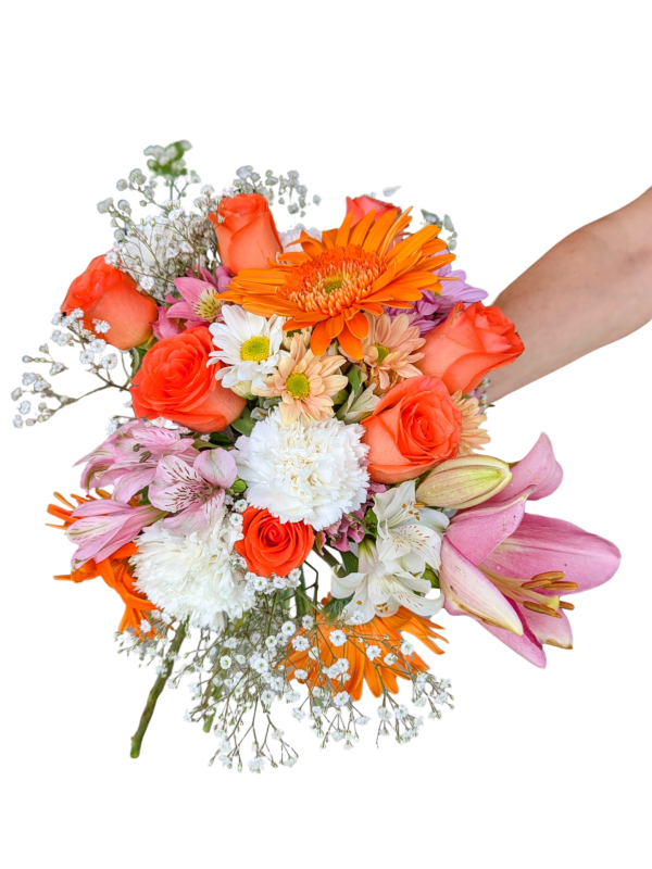 62fbaa6e-690a-48ba-950f-a4acfa609b6f