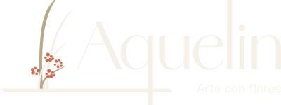 Logo 3@3x
